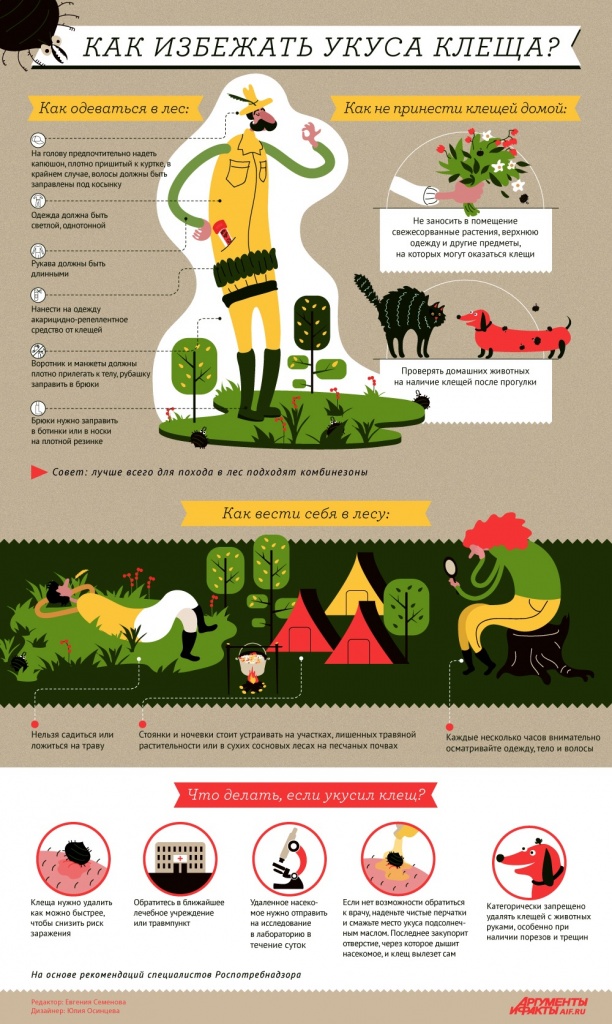 Как избежать укуса клеща (1).jpg
